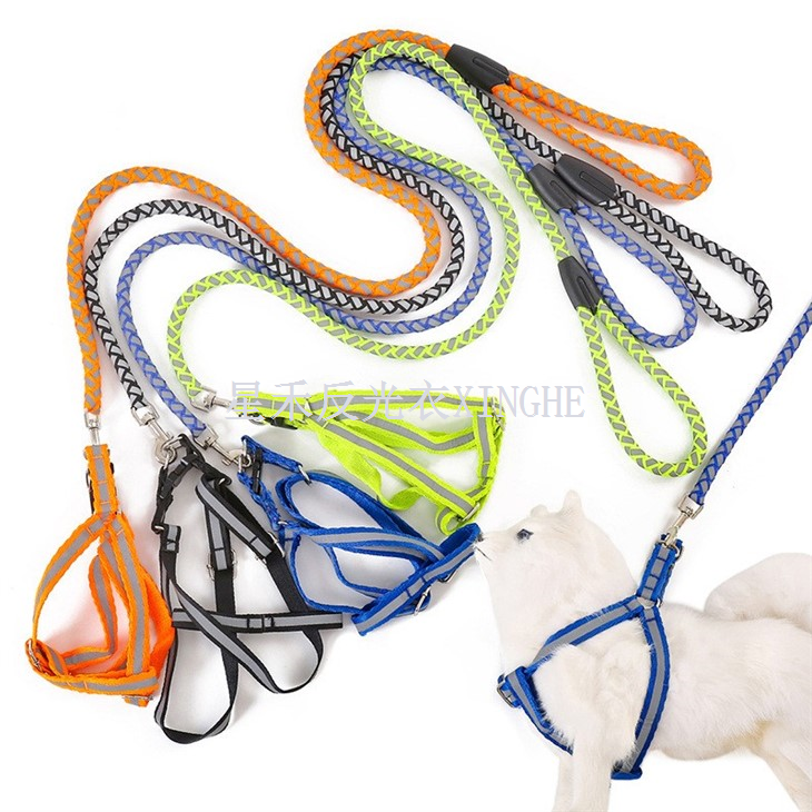 Leash Madra Machnamhach Peataí