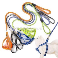 Leash Madra Machnamhach Peataí